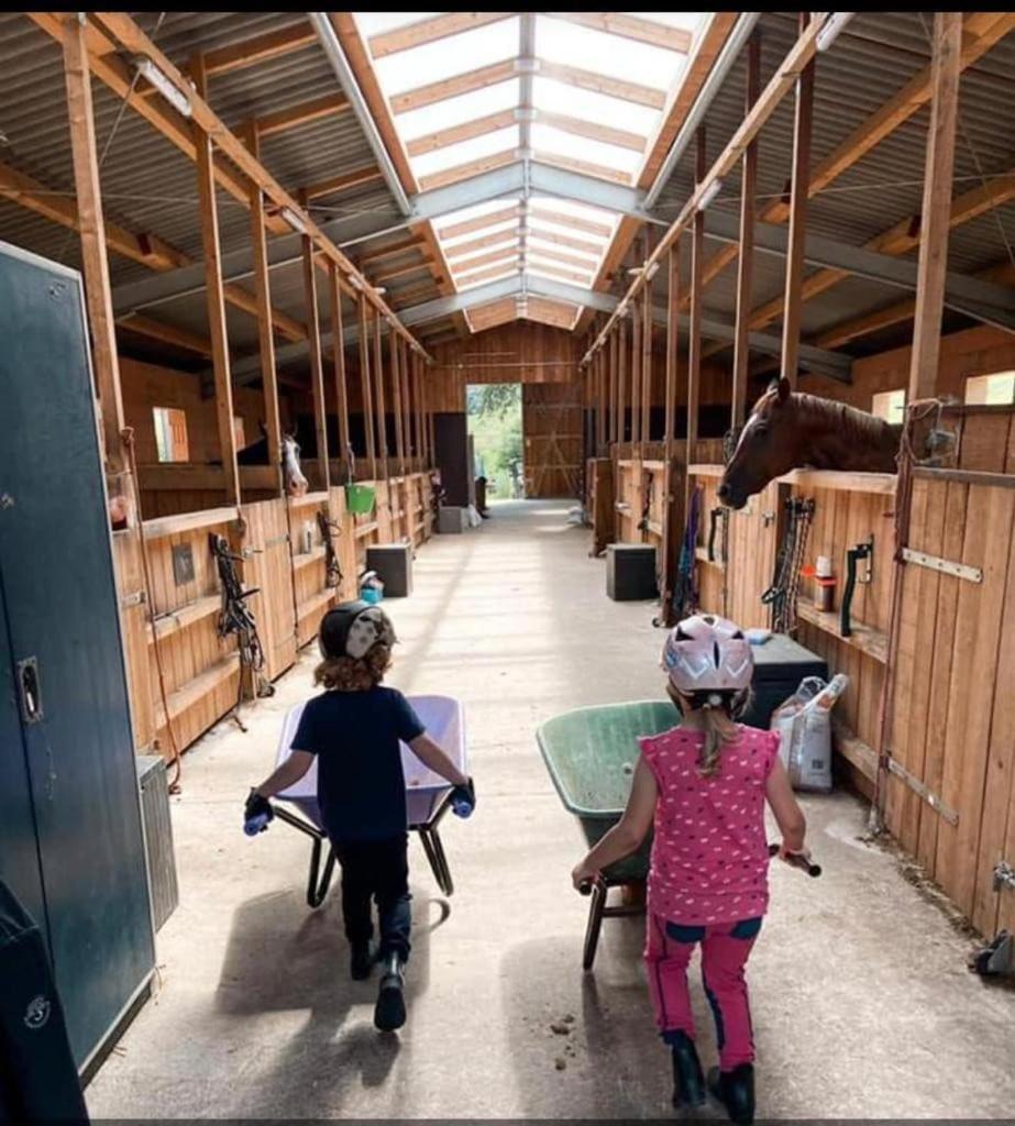 Ferienwohnung Beim Pferdehof Neuenstein  Ngoại thất bức ảnh